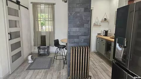 Entry Way - 251 E Chestnut St, Canton, IL 61520 photo 13 of 14