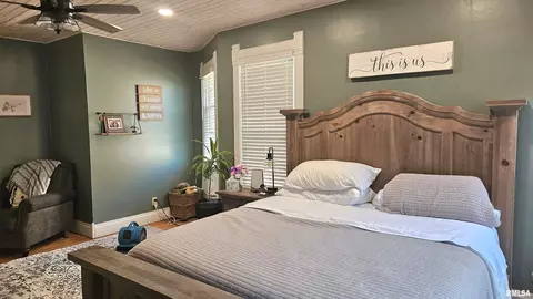 Bedroom - 251 E Chestnut St, Canton, IL 61520 photo 3 of 12