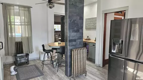 Other - 251 E Chestnut St, Canton, IL 61520 photo 2 of 11