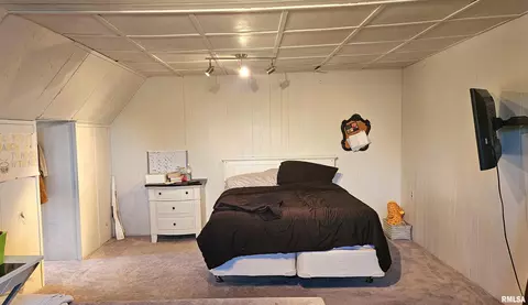 Bedroom - 251 E Chestnut St, Canton, IL 61520 photo 12 of 12