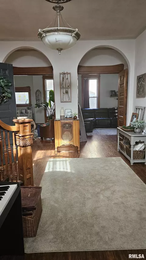 Entry Way - 251 E Chestnut St, Canton, IL 61520 photo 5 of 14