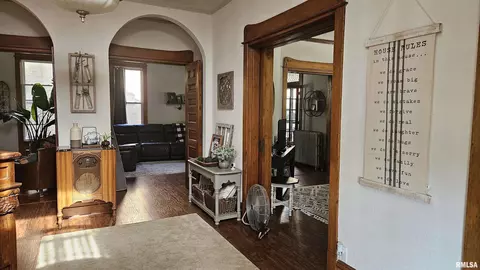 Entry Way - 251 E Chestnut St, Canton, IL 61520 photo 4 of 14