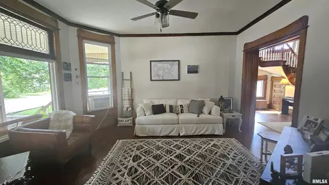 Living - 251 E Chestnut St, Canton, IL 61520 photo 2 of 4