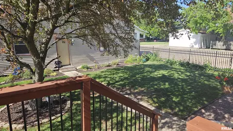 Exterior - 251 E Chestnut St, Canton, IL 61520 photo 17 of 22