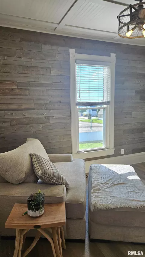 Living - 251 E Chestnut St, Canton, IL 61520 photo 4 of 4