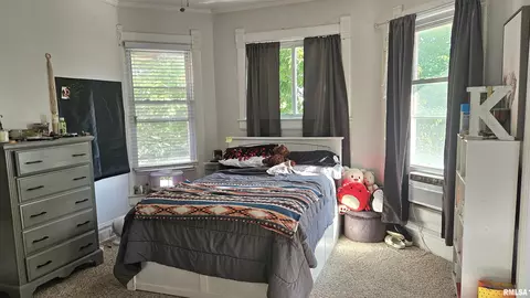 Bedroom - 251 E Chestnut St, Canton, IL 61520 photo 5 of 12