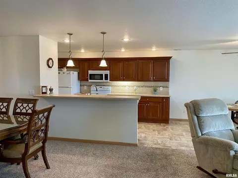 315 Scotch Pine Dr, Macomb, IL 61455 photo 12