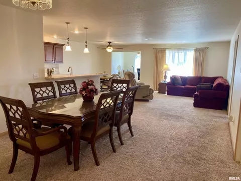 315 Scotch Pine Dr, Macomb, IL 61455 photo 8