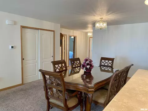 315 Scotch Pine Dr, Macomb, IL 61455 photo 9