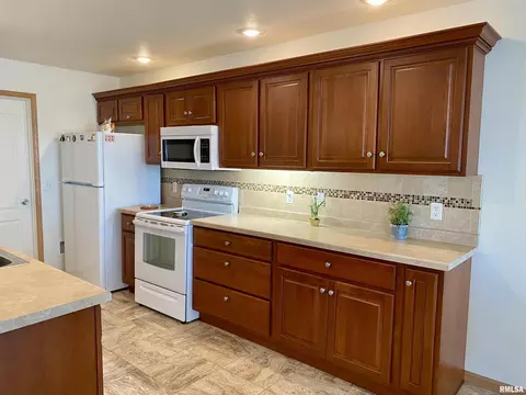 315 Scotch Pine Dr, Macomb, IL 61455 photo 13