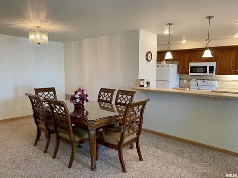 315 Scotch Pine Dr, Macomb, IL 61455 photo 11