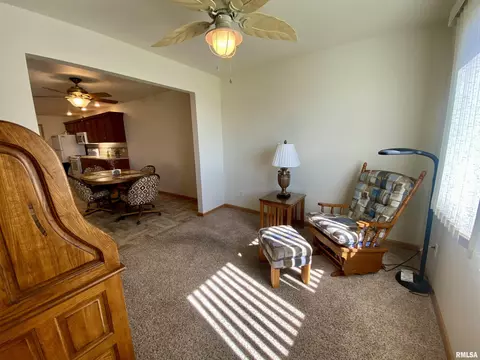 315 Scotch Pine Dr, Macomb, IL 61455 photo 30