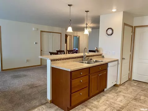 315 Scotch Pine Dr, Macomb, IL 61455 photo 14