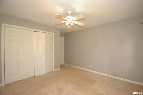 916 W Bennett Ct, Dunlap, IL 61525 photo 22