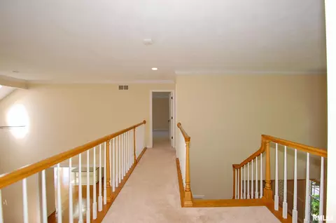 916 W Bennett Ct, Dunlap, IL 61525 photo 23