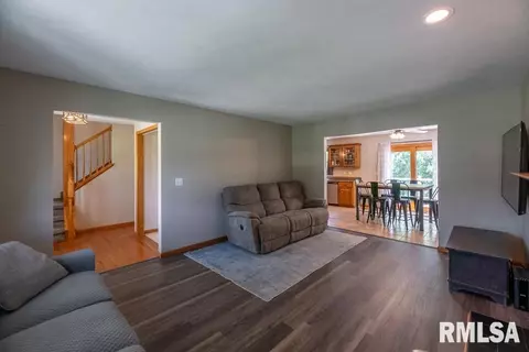 4415 S Newcastle Ct, Mapleton, IL 61547 photo 12