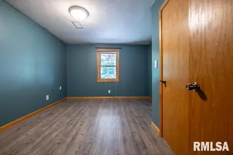 4415 S Newcastle Ct, Mapleton, IL 61547 photo 31
