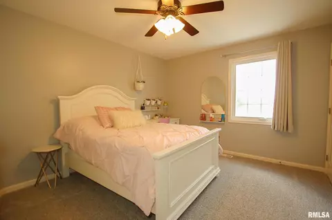 Bedroom - 2103 W Liams Way, Dunlap, IL 61525 photo 4 of 11