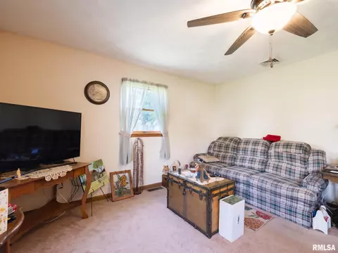 280 N Park St, Fairview, IL 61432 photo 35
