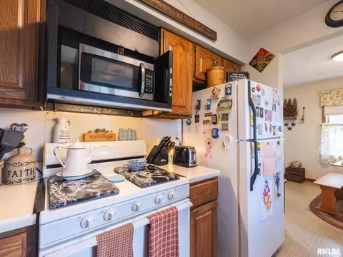280 N Park St, Fairview, IL 61432 photo 47