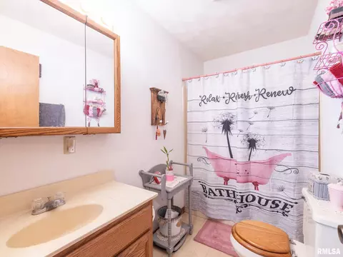 280 N Park St, Fairview, IL 61432 photo 28