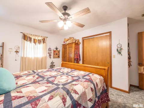 280 N Park St, Fairview, IL 61432 photo 43