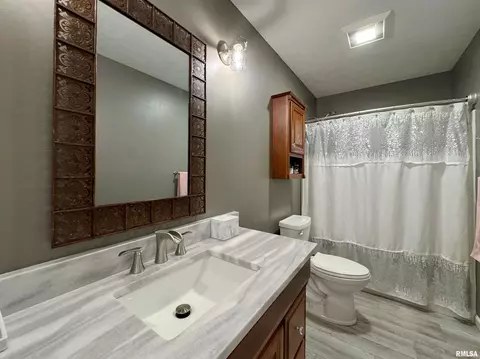 Bath - 4837 S Lake Camelot Dr, Mapleton, IL 61547 photo 3 of 5