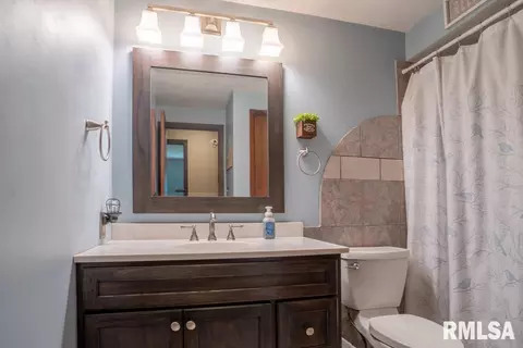 7668 W Chestnut Dr, Edwards, IL 61528 photo 19
