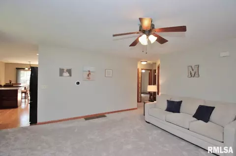 9504 W Excalibur Ct, Mapleton, IL 61547 photo 32