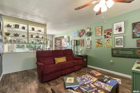 319 S Spring St, Metamora, IL 61548 photo 18