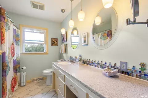 319 S Spring St, Metamora, IL 61548 photo 23