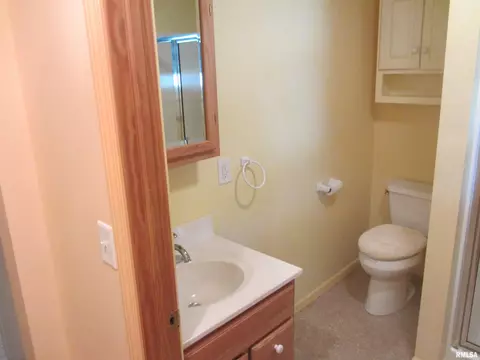 711 W 3rd St, Delavan, IL 61734 photo 8