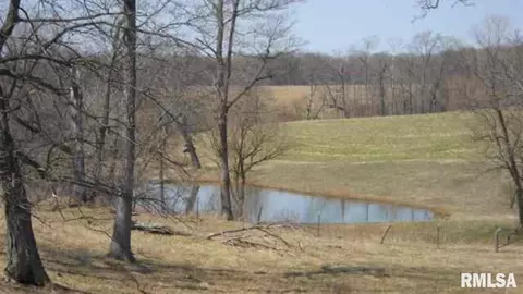 1594 Feazel Rd, Lacon, IL 61540 photo 44