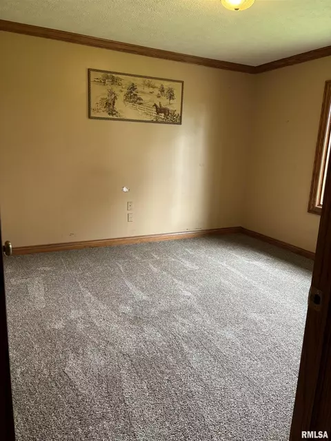 1594 Feazel Rd, Lacon, IL 61540 photo 21