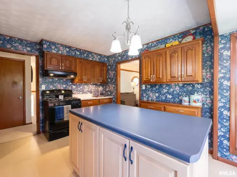 4415 W Simpson Dr, Dunlap, IL 61525 photo 35