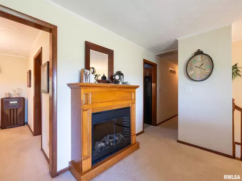 4415 W Simpson Dr, Dunlap, IL 61525 photo 24