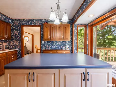 4415 W Simpson Dr, Dunlap, IL 61525 photo 34