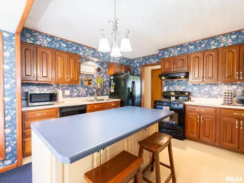 4415 W Simpson Dr, Dunlap, IL 61525 photo 37