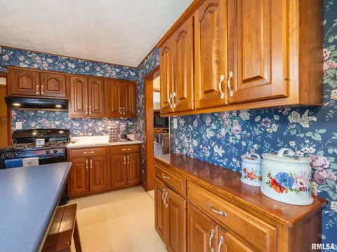 4415 W Simpson Dr, Dunlap, IL 61525 photo 38