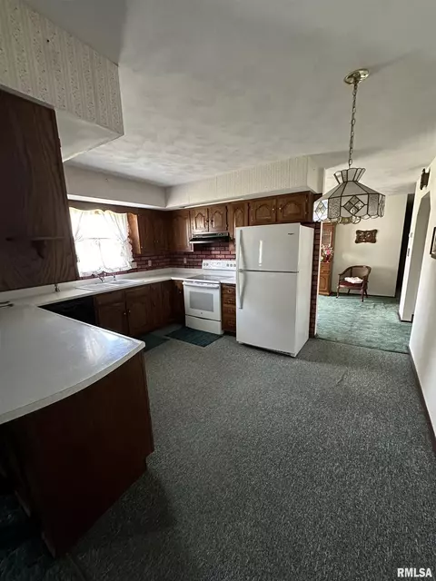 1305 E Locust St, Canton, IL 61520 photo 10