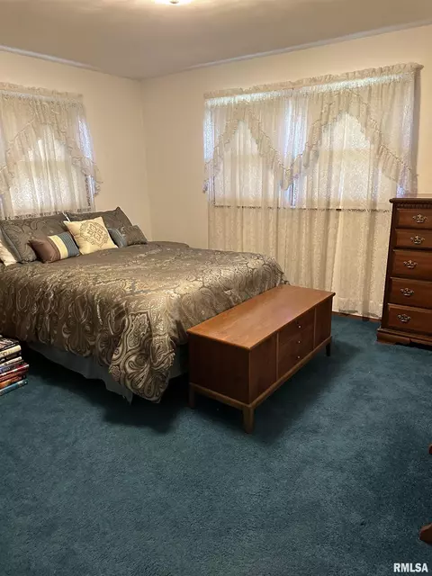 1305 E Locust St, Canton, IL 61520 photo 13