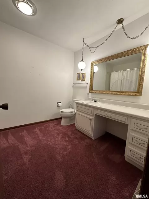 1305 E Locust St, Canton, IL 61520 photo 15