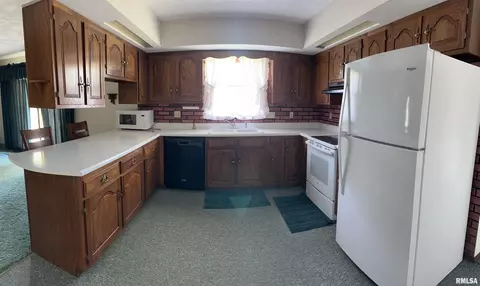 1305 E Locust St, Canton, IL 61520 photo 9
