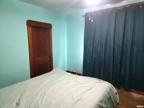608 Elm St, Canton, IL 61520 photo 23