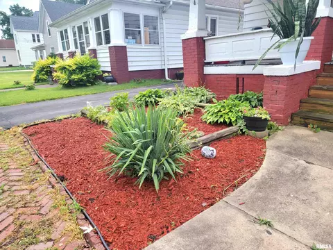 608 Elm St, Canton, IL 61520 photo 3