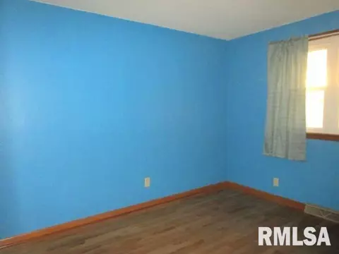 1025 E Olive St, Canton, IL 61520 photo 16