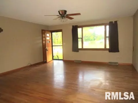 1025 E Olive St, Canton, IL 61520 photo 5