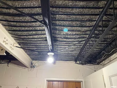 919 2nd St, Lacon, IL 61540 photo 66