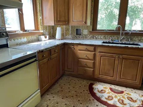 919 2nd St, Lacon, IL 61540 photo 29