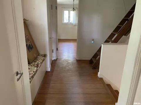 919 2nd St, Lacon, IL 61540 photo 33
